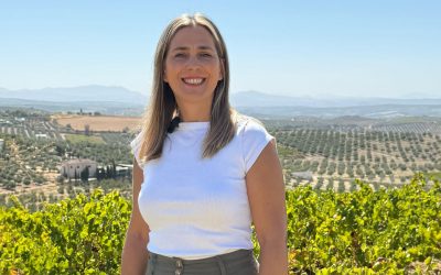 EL PP DE MONTILLA DENUNCIA EL NINGUNEO DEL GOBIERNO A LOS AGRICULTORES  DE MONTILLA ANTE EL PROBLEMA DEL MILDIU.